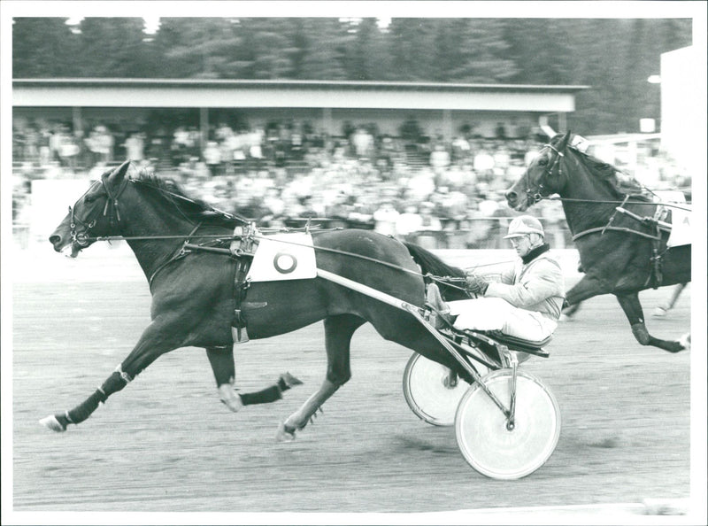 Equestrian - Vintage Photograph