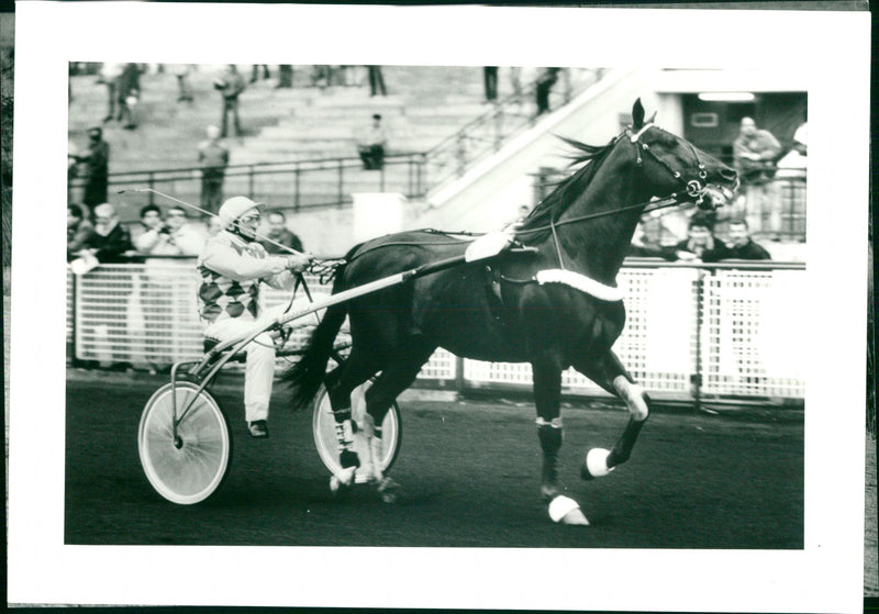 Sports: Equestrian - Vintage Photograph