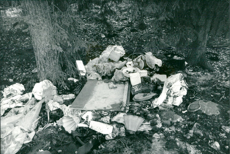 THREAE TOWNS BRING DAIBLAD ENGLISH NATURE - Vintage Photograph