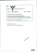 Andreas Johansson. - Vintage Photograph