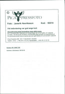 Andreas Johansson. - Vintage Photograph