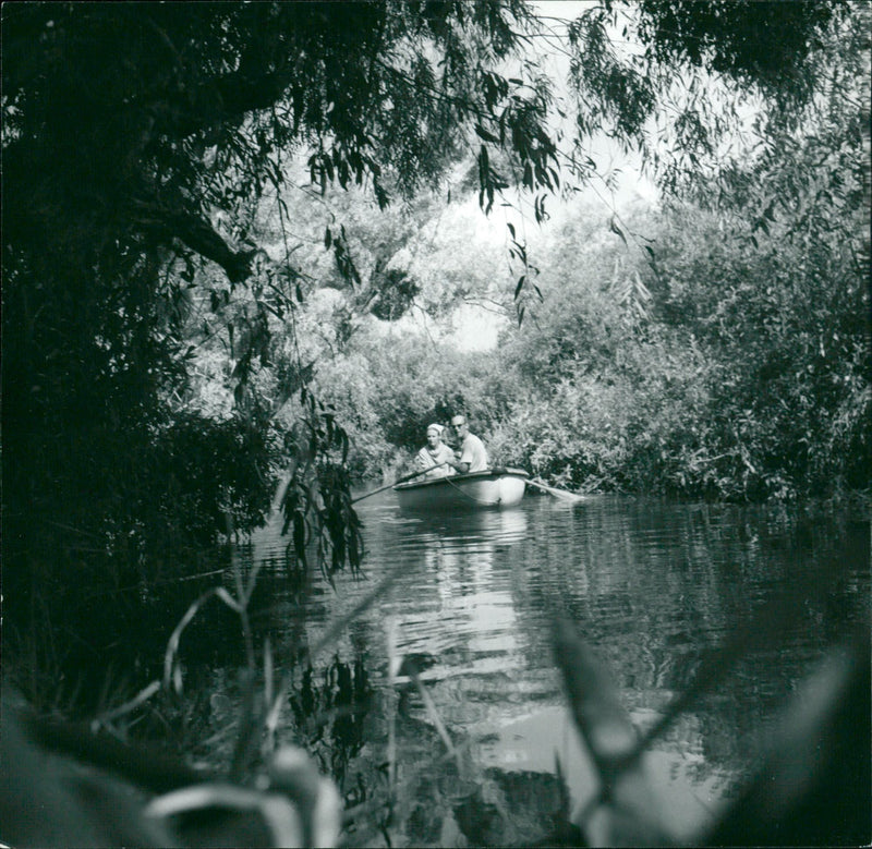 Göran Schildt's travels. Expedition with dinghy in the Danube Delta maze of waterways - Vintage Photograph