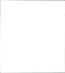 Viacheslav Fetisov, Ice hockey player - Vintage Photograph