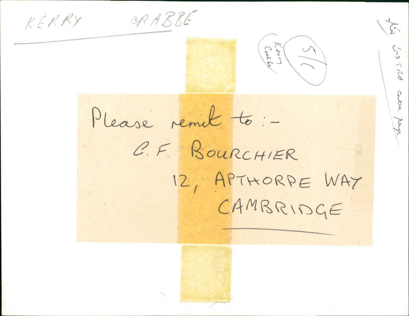 Screenwriter Kerry Crabbe - Vintage Photograph
