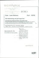 Wayne Gretzky Ice hockey player. - Vintage Photograph