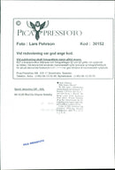 Wayne Gretzky Ice Hockey player. - Vintage Photograph