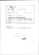 Wayne Gretzky - Vintage Photograph