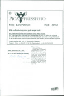 Wayne Gretzky Ice Hockey player. - Vintage Photograph