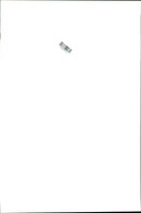 Kenny Brack, race car driver - Vintage Photograph