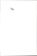 Kenny Brack, race car driver - Vintage Photograph