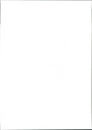 Kenny Brack, race car driver - Vintage Photograph