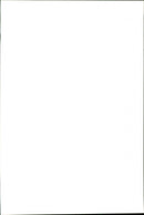 Kenny Brack, race car driver - Vintage Photograph