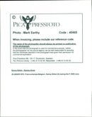 Kenny Brack, race car driver - Vintage Photograph