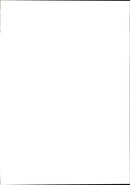 Kenny Bräck - Vintage Photograph