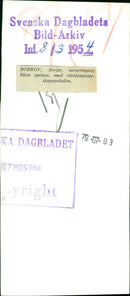 Vladimir Bobrov. - Vintage Photograph