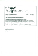 SWEDEN PICA RESPONSIBLE IMAGE DELIVERY AFT DUKE ROYAL COUNTRY - Vintage Photograph