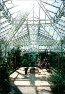 SWEDEN PICA RESPONSIBLE IMAGE DELIVERY AFT DUKE ROYAL COUNTRY - Vintage Photograph