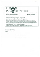 SWEDEN PICA RESPONSIBLE DESK IMAGE DELIVER DUKE ROYAL COUNTRY - Vintage Photograph