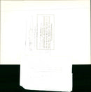 John McEnroe, Tennis Player - Vintage Photograph