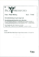 Patrick Lovgren. - Vintage Photograph