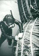 Tigris expedition - Vintage Photograph