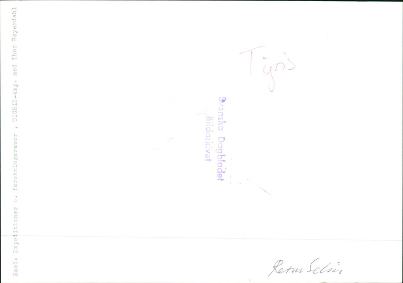 Tigris expedition - Vintage Photograph