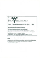 Profession "Men's Boots Model, Helena Dahlquist - Vintage Photograph