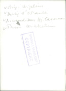 Wigelius, Duke of Otrante, life medicine Hj. Casserman and Prince Wilhelm - hunting image - Vintage Photograph