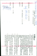 In the Middle of Nature - Vintage Photograph