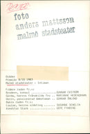 Malmo Theater - Vintage Photograph