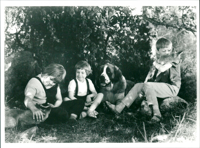 Tjorven and SkrÃ¥llan in Vi at SaltkrÃ¥kan - Vintage Photograph