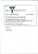 1998 SWEDEN RESPONSIBLE FINAL IMAGE DELIVER EXPEDITION - Vintage Photograph