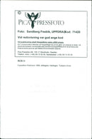 1998 TELEPHONE SWEDEN RESPONSIBLE REPAYMENT EXPEDITION - Vintage Photograph