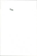 1998 OFLT MATAKING MALAYSIA CODE PETALBIL EXPEDITION - Vintage Photograph