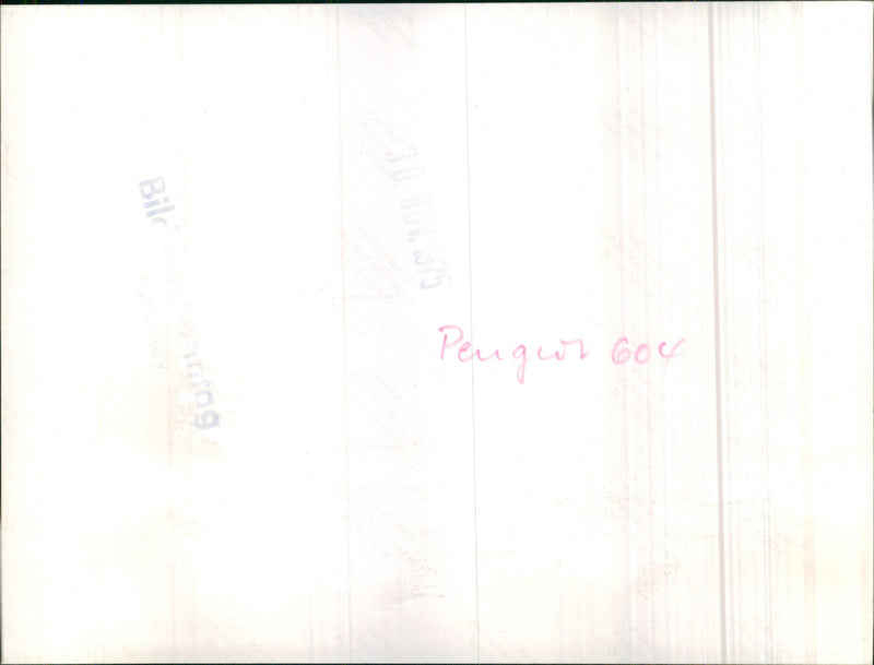 Varius. - Vintage Photograph