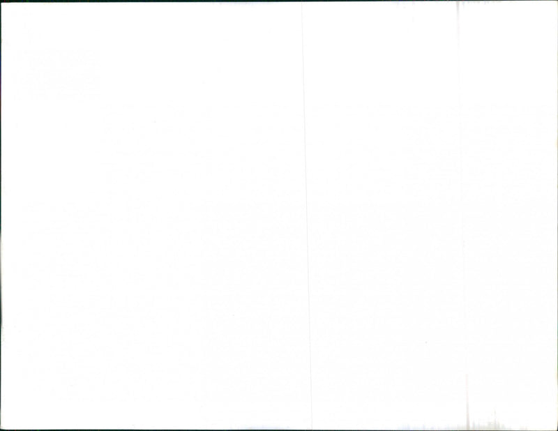 Audi. - Vintage Photograph