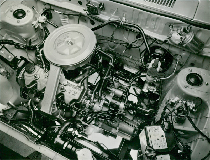 Datsun. - Vintage Photograph