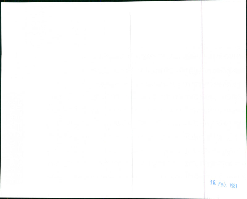 Datsun. - Vintage Photograph