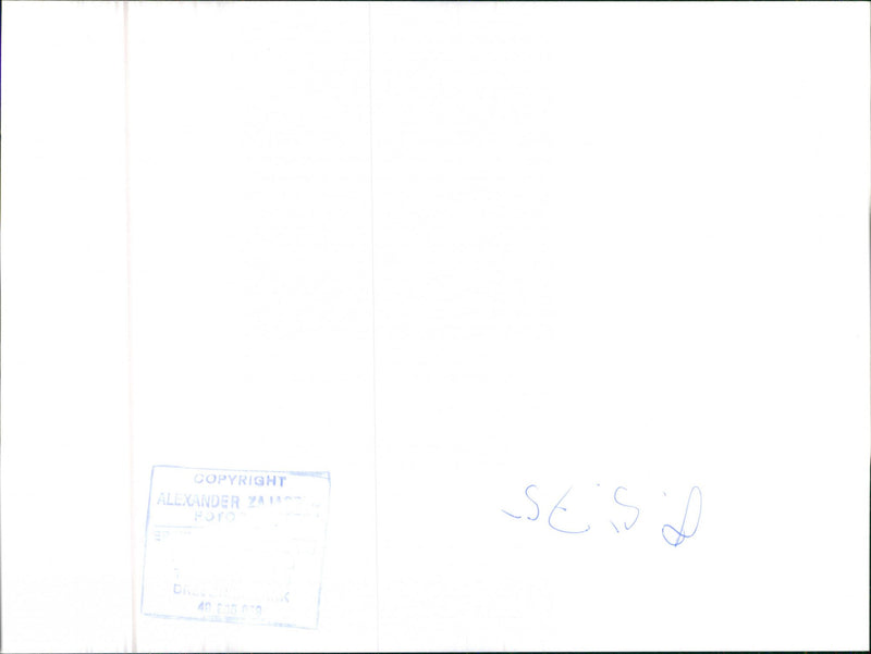 Mercedes Benz 460 SEL - Vintage Photograph