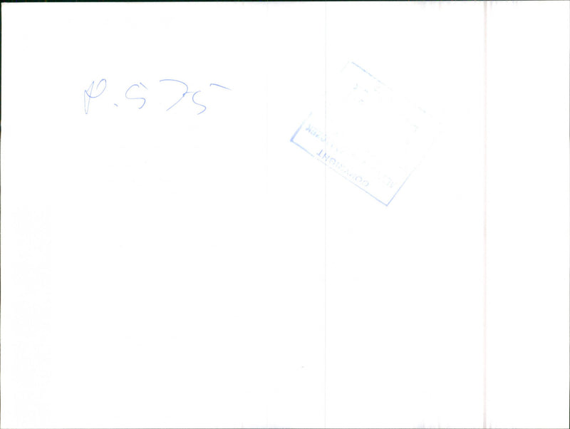 Mercedes Benz 460 SEL - Vintage Photograph