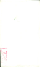 Water polo - Vintage Photograph