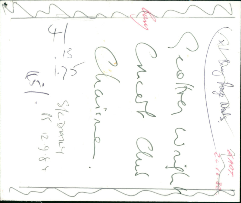 1998 CONCERT - Vintage Photograph