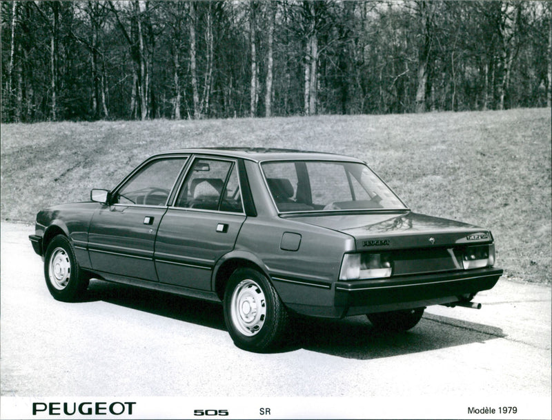 1979 Peugeot 505 - Vintage Photograph
