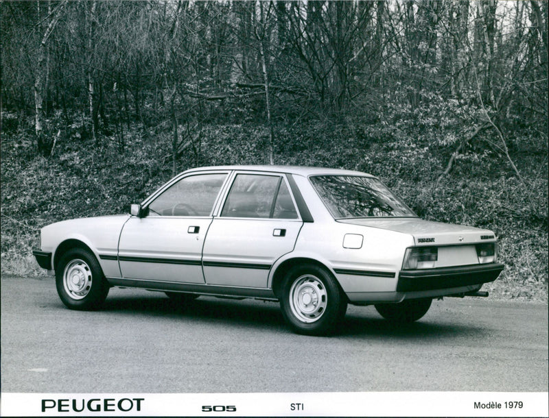 1979 Peugeot 505 - Vintage Photograph