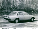 1979 Peugeot 505 - Vintage Photograph