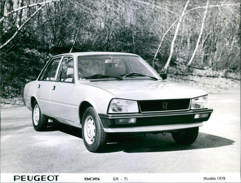 1979 Peugeot 505 - Vintage Photograph
