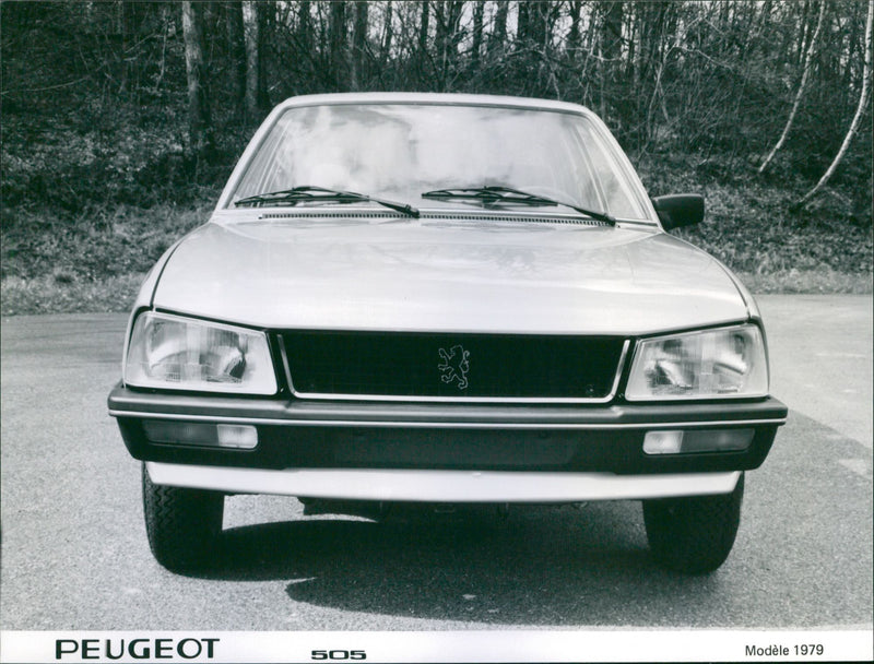 1979 Peugeot 505 - Vintage Photograph