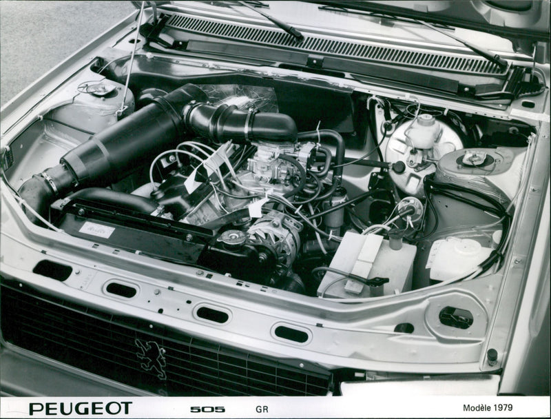 1979 Peugeot 505 - Vintage Photograph