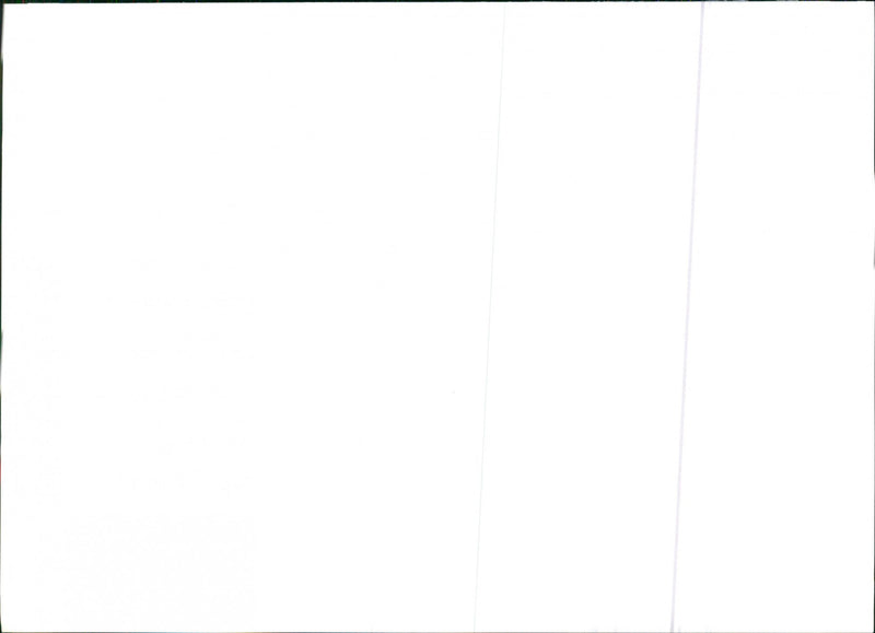 Datsun Stanza. - Vintage Photograph