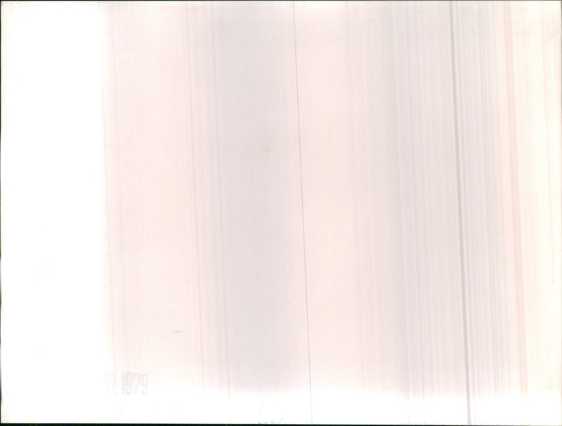 Various random cars - Vintage Photograph